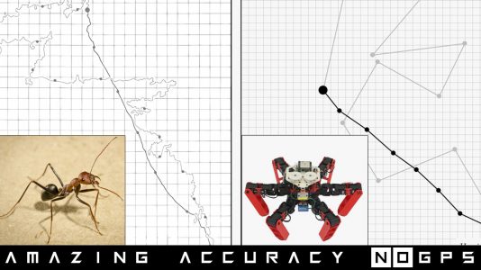 antbot-incredible-accuracy-navigation-no-gps-desert-ant-thumb1-robotreporters